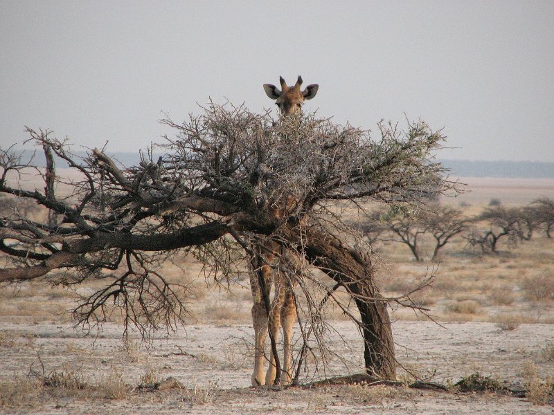 c_2015_08_29 08_13_14_77